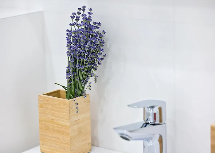 Apartment Ap Tzar Peter I Warna